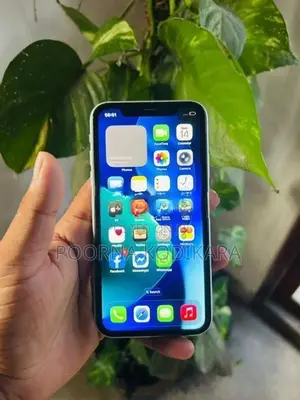 Apple iPhone 11 (Used)
