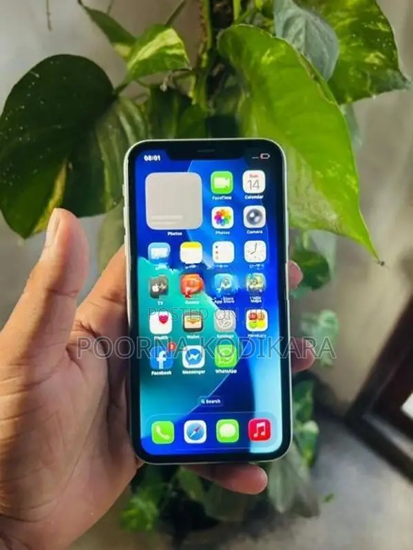 Apple iPhone 11 (Used)