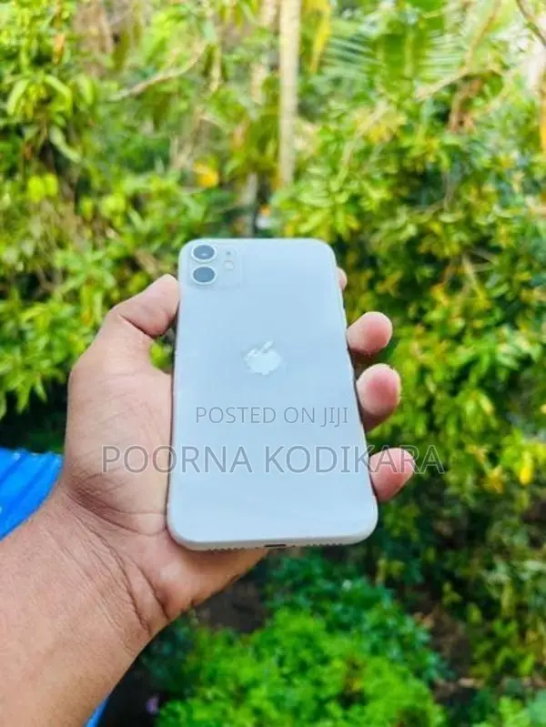 Apple iPhone 11 (Used)