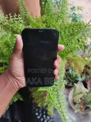 Apple iPhone 12 Pro Max 128GB (Used)