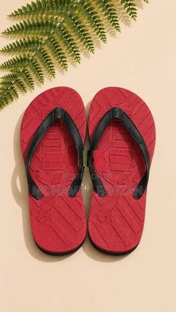Elegant Ladies Gents Slippers
