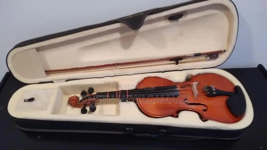 Used Super Lark Violin