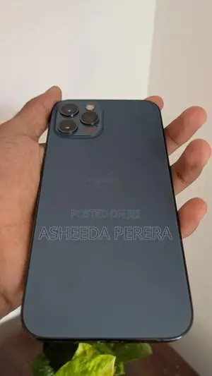 Apple iPhone 12 Pro (Used)