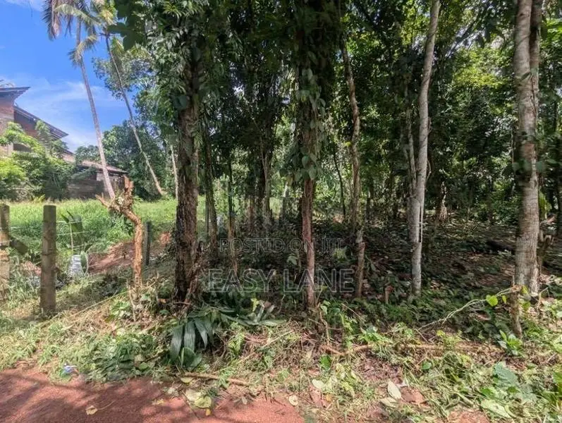 මිනුවන්ගොඩ නගරයට ආසන්නයෙන් සුපිරි ඉඩමක්