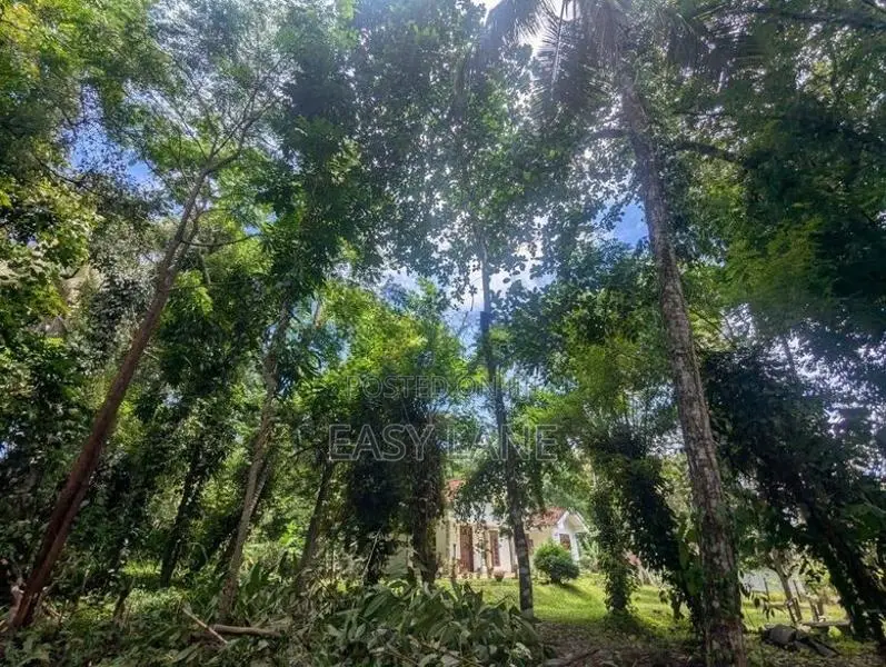 මිනුවන්ගොඩ නගරයට ආසන්නයෙන් සුපිරි ඉඩමක්