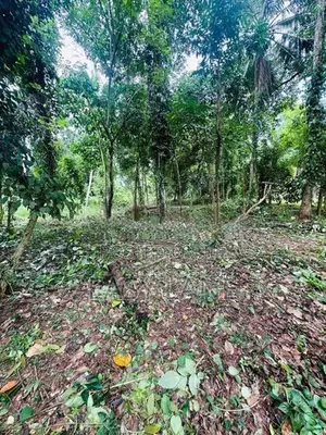 මිනුවන්ගොඩ නගරයට ආසන්නයෙන් සුපිරි ඉඩමක්