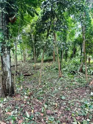 මිනුවන්ගොඩ නගරයට ආසන්නයෙන් සුපිරි ඉඩමක්