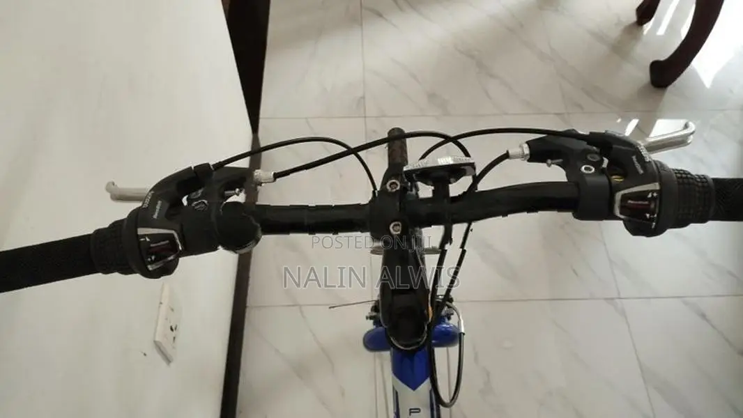 Park Lane Ignite 700 Touring Bicycle