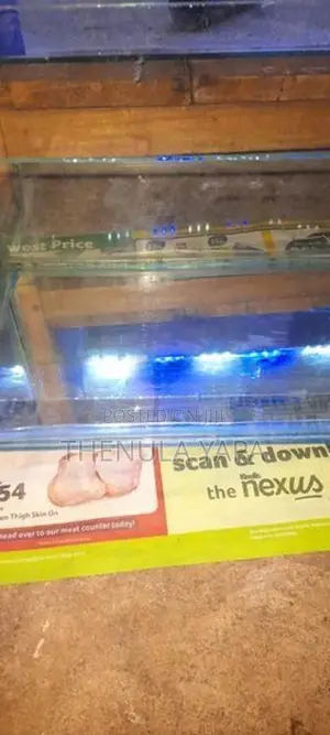 Fish ටැංකි