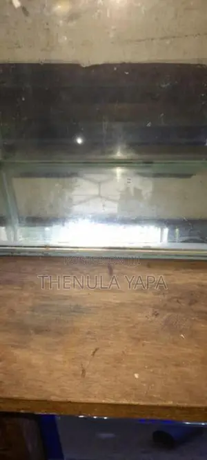 Fish ටැංකි