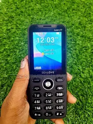 sealove button phone (Used)