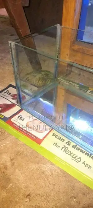 Fish ටැංකි