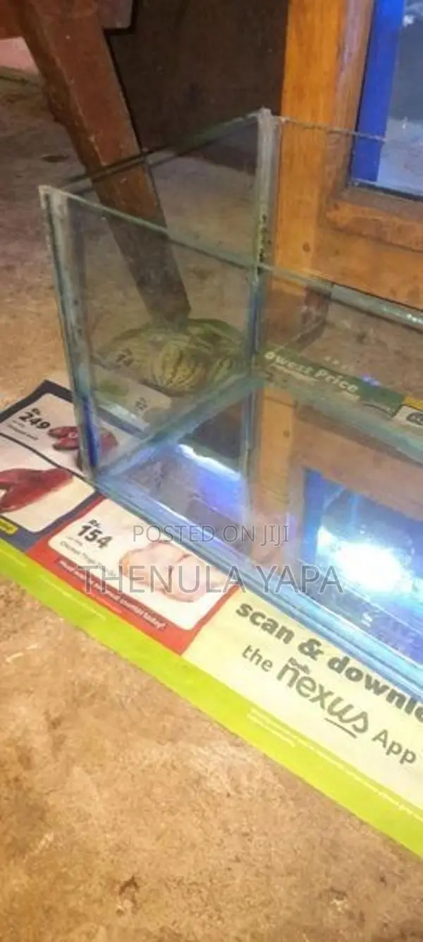 Fish ටැංකි