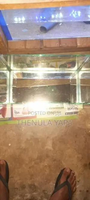 Fish ටැංකි