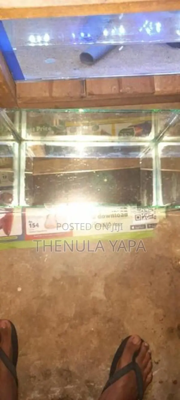 Fish ටැංකි