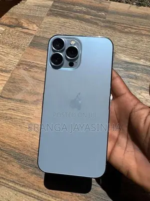 Apple iPhone 13 Pro Max (Used)
