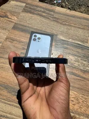 Apple iPhone 13 Pro Max (Used)