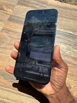 Apple iPhone 13 Pro Max (Used)