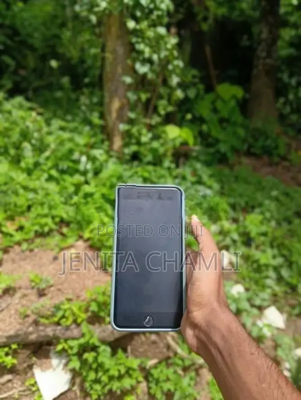Apple iPhone 7 Plus (Used)