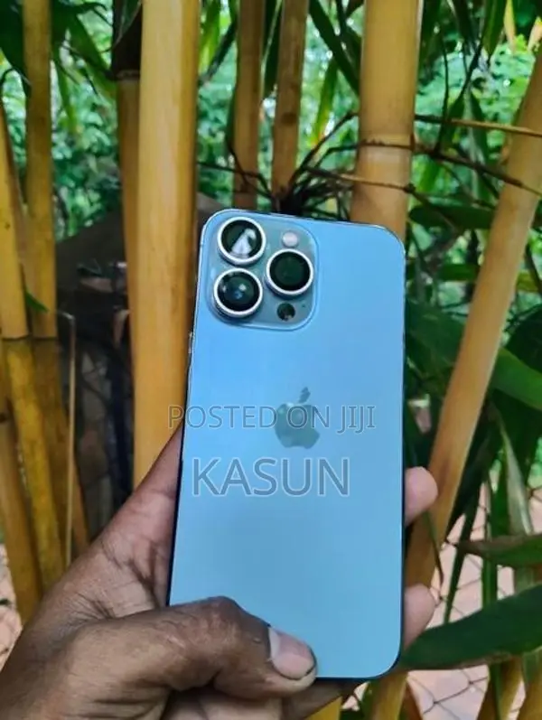 Apple iPhone 13 Pro (Used)