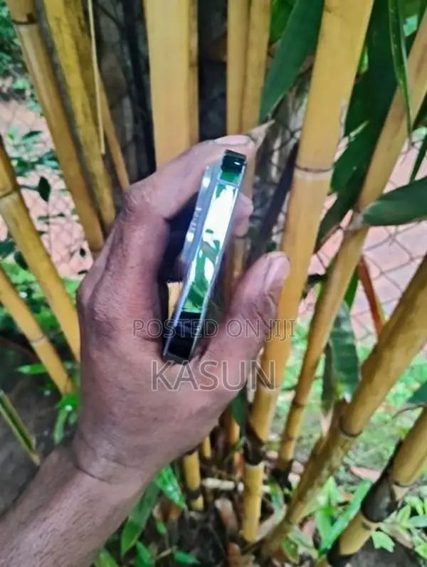 Apple iPhone 13 Pro (Used)