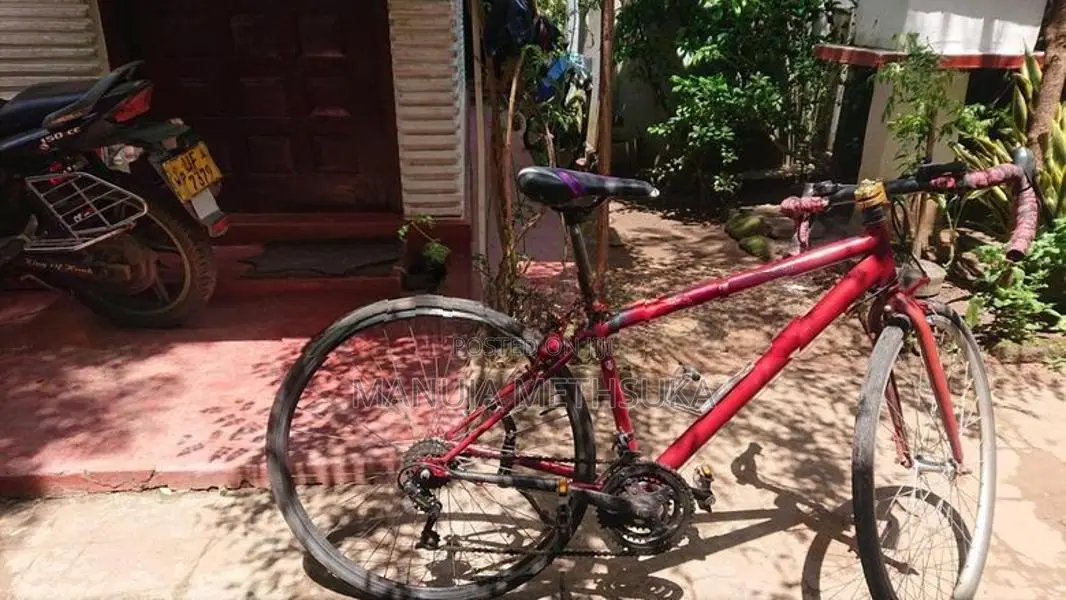 බයිසිකලය