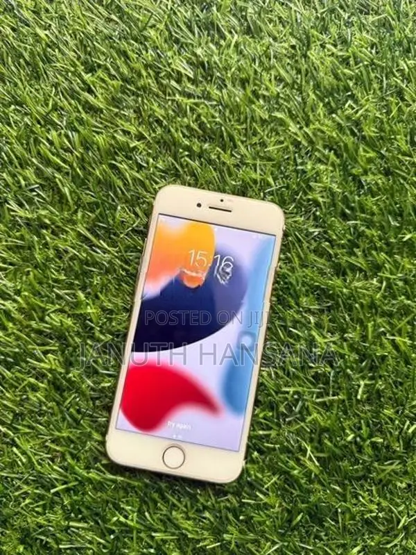 Apple iPhone 7 (Used)