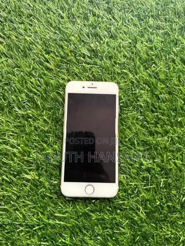 Apple iPhone 7 (Used)