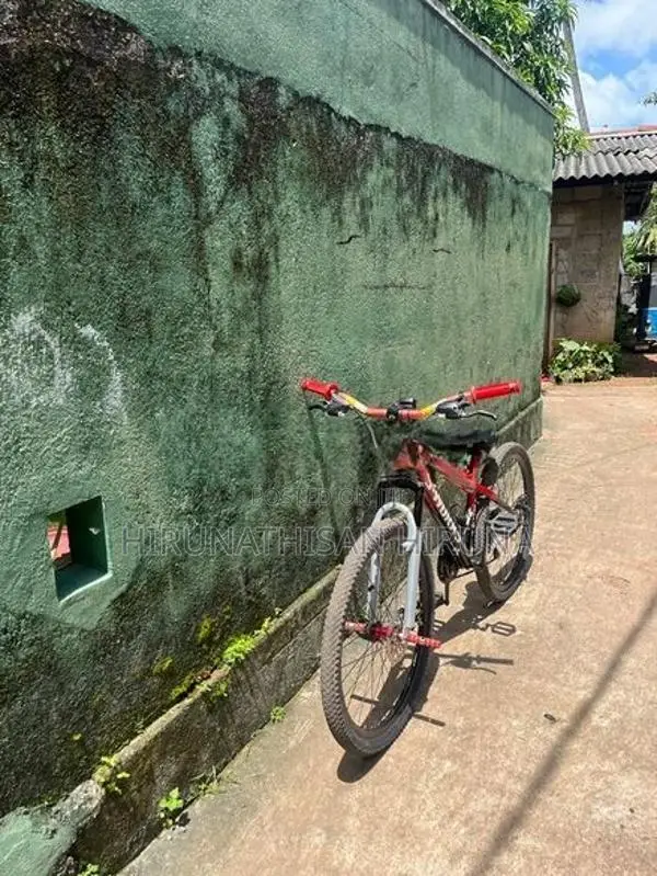 Bicycle