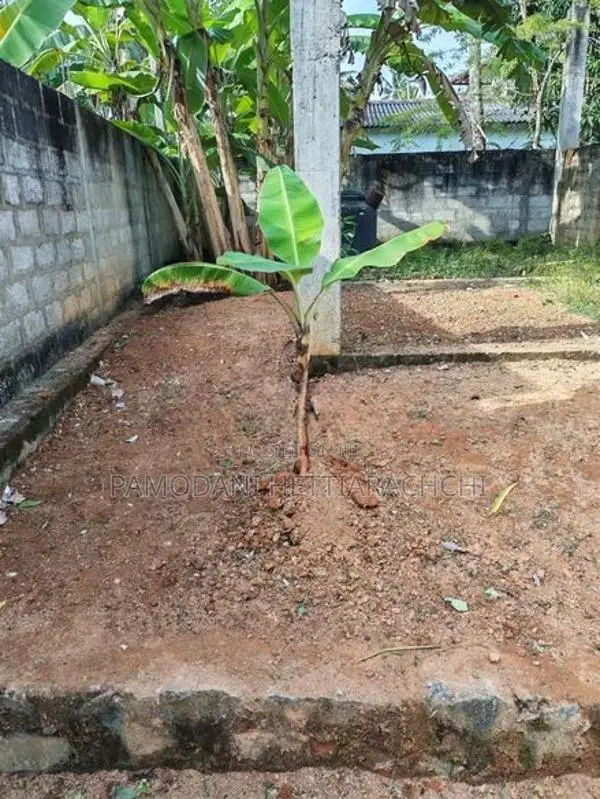 Land for Sale with 3 Floored House Foundation,Kalutara