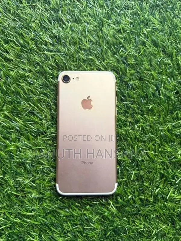 Apple iPhone 7 (Used)