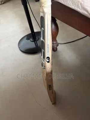 SS Cricket Bat