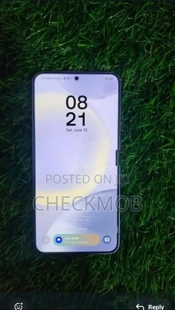 Samsung Galaxy S24 (Used)
