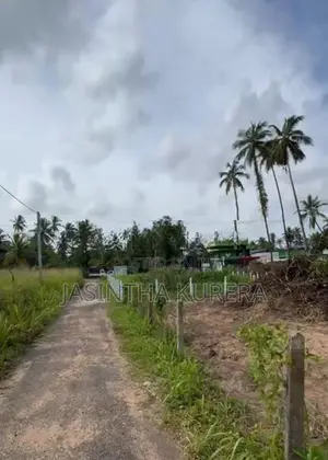 Land in Kuliyapitiya