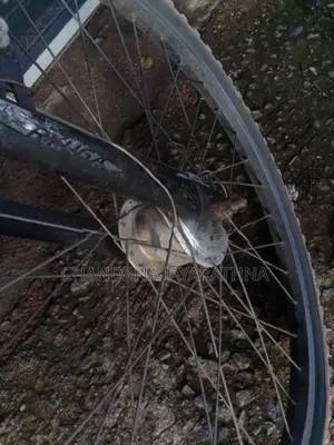Kids bike