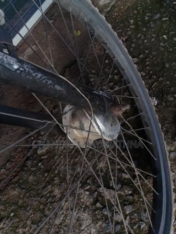 Kids bike