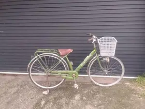 Girl Bicycle
