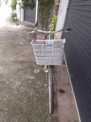 Girl Bicycle