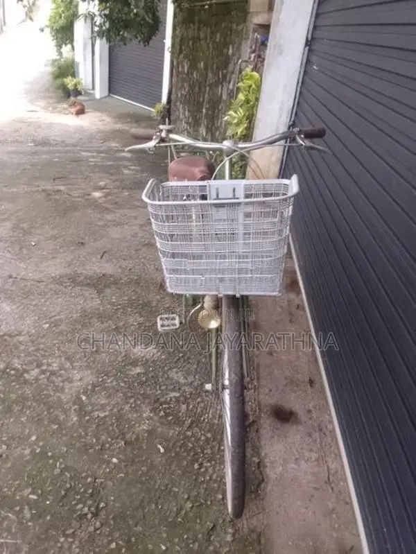Girl Bicycle