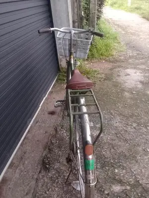 Girl Bicycle