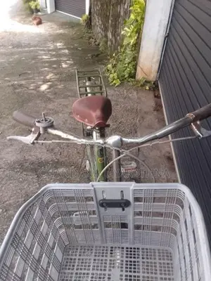 Girl Bicycle