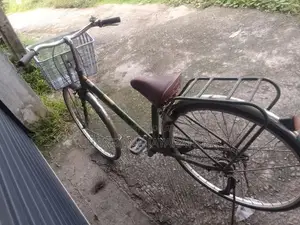 Girl Bicycle