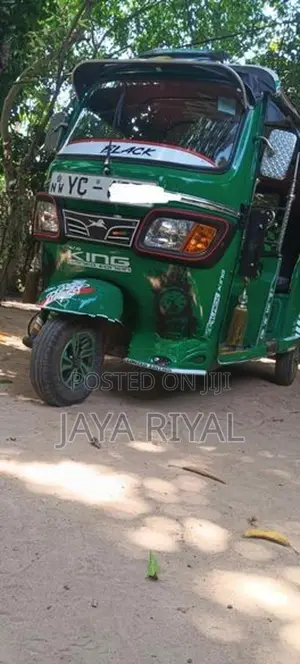 TVS King 2010