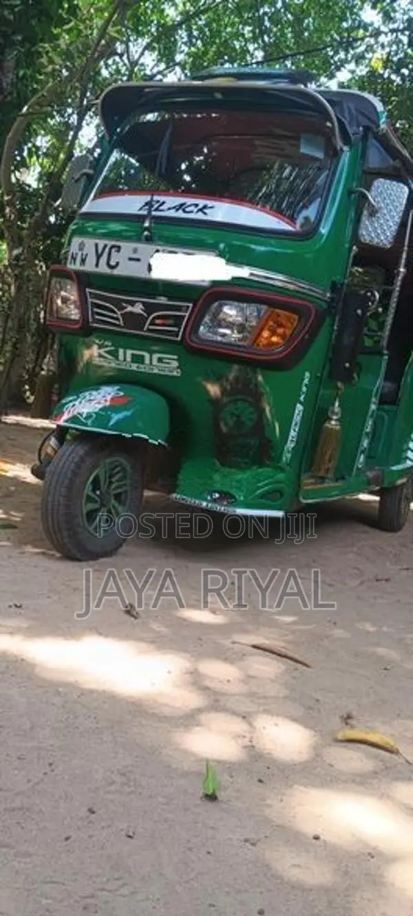 TVS King 2010