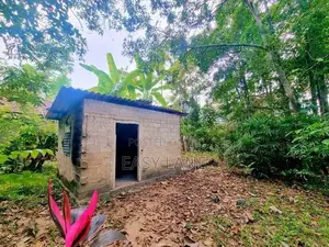 Land for Sale Devolapola