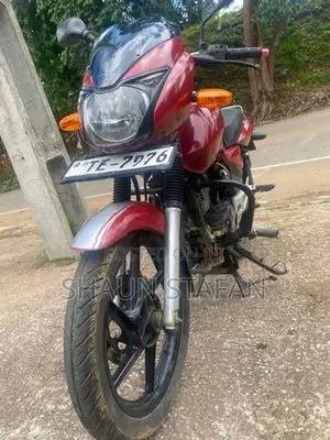 Bajaj Pulsar 180 TE 7976 2006