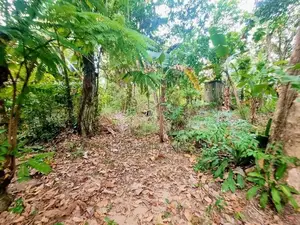 Land for Sale Devolapola