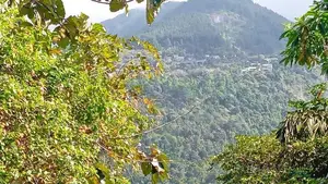 පර්වස් 89ක ගම්මිරිස් වගාව Land for Sale kandy