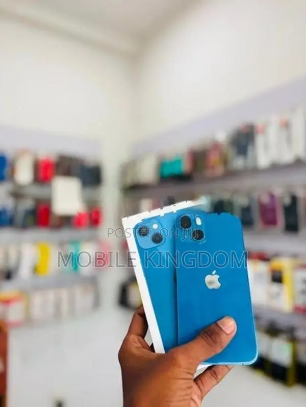 Apple iPhone 13 256GB (Used)