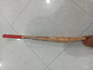 SG Cricket Bat | English willow